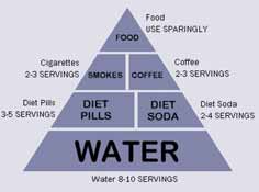anorexic food pyramid